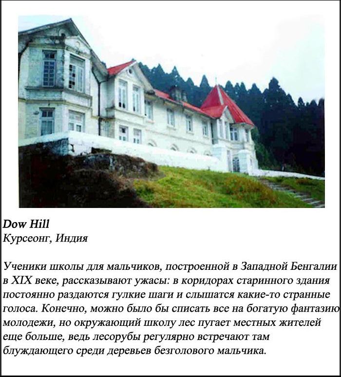 10 самых пугающих лесов нашей планеты (10 фото)