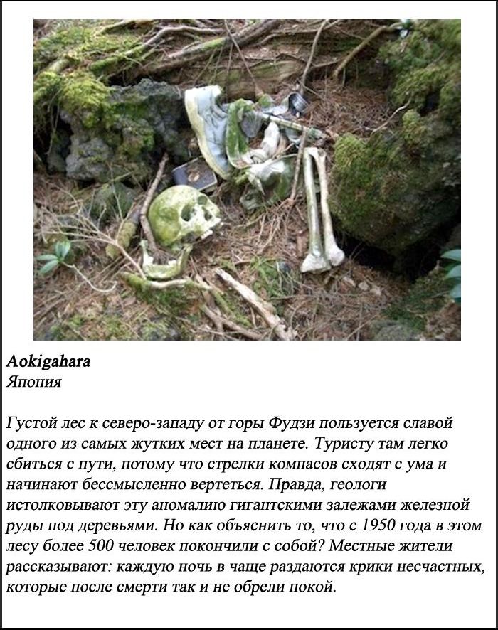 10 самых пугающих лесов нашей планеты (10 фото)