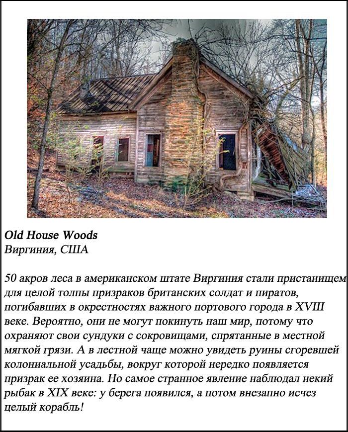 10 самых пугающих лесов нашей планеты (10 фото)