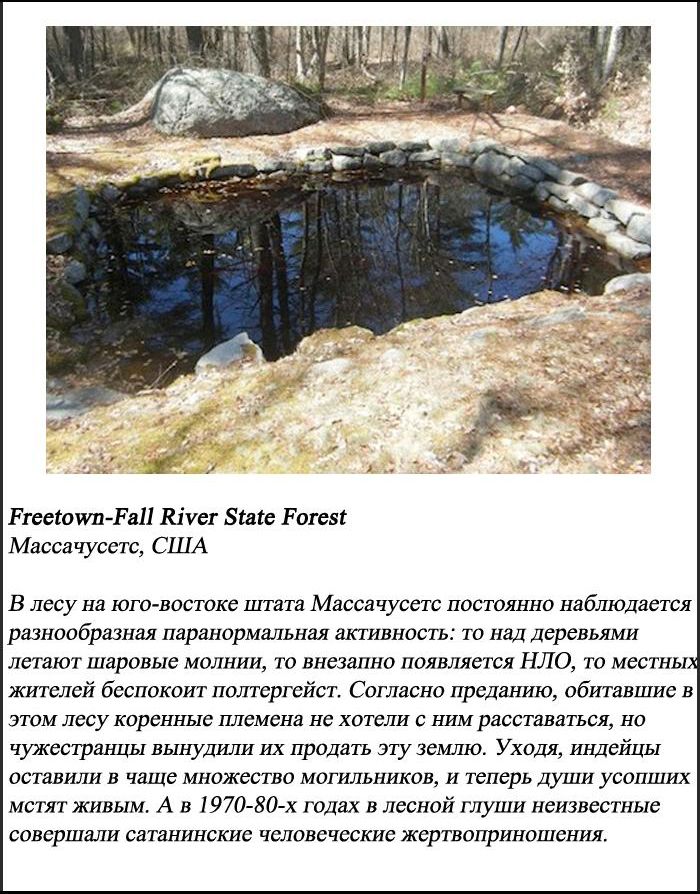 10 самых пугающих лесов нашей планеты (10 фото)