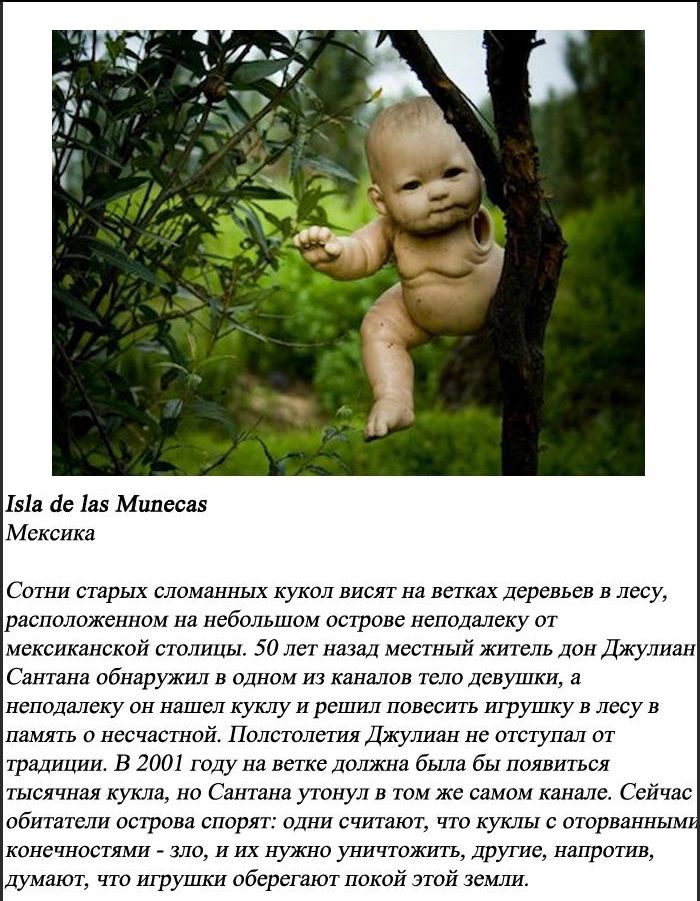 10 самых пугающих лесов нашей планеты (10 фото)