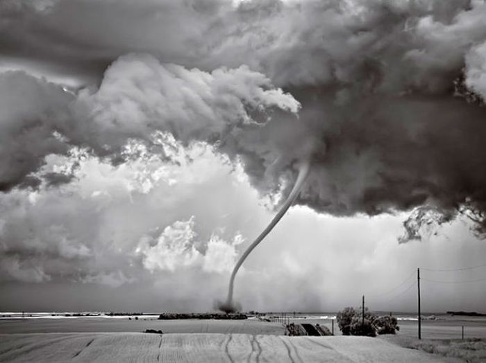 Лучшие снимки от National Geographic за 2012 год (45 фото)
