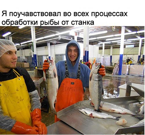 Как русский айтишник отправился работать на рыбзавод в США (25 фото)