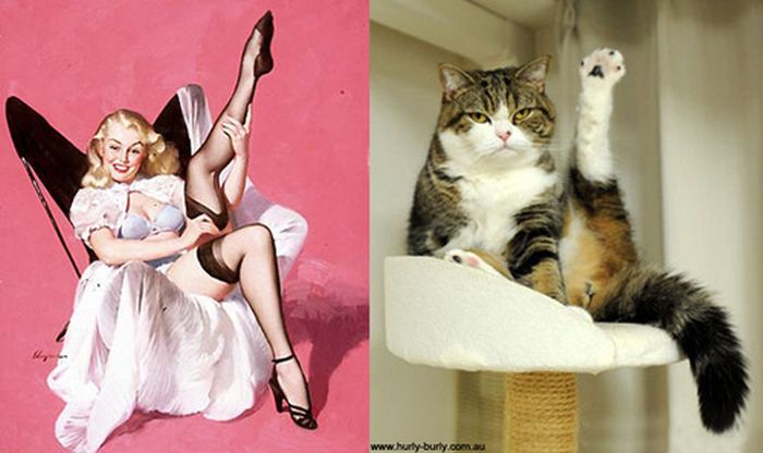 Симпатичные девушки и коты в стиле Пин-Ап (55 фото)