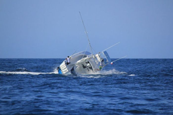 Опасный улов: рыба Парусник против рыболовецкого судна (7 фото)