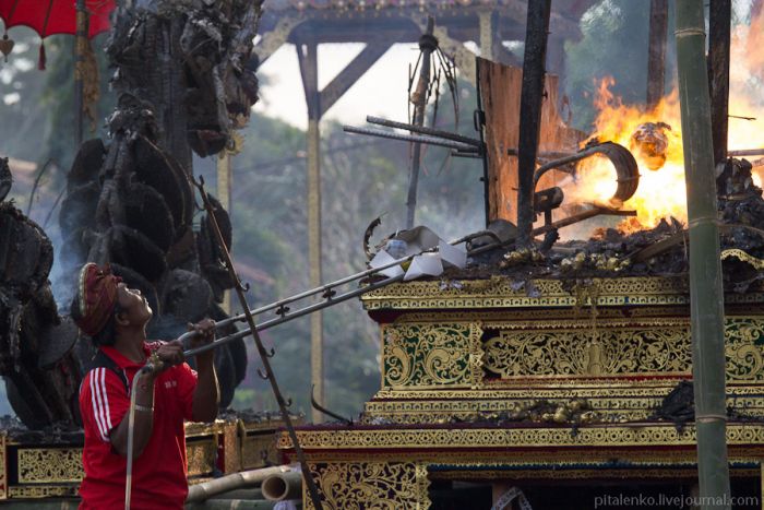 Ритуал кремации на острове Бали (23 фото)