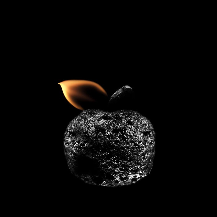 Искусство сожженных спичек в творчестве Станислава Аристова (25 фото)