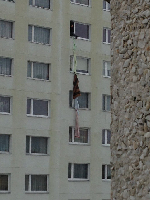 Полет пьяного шмеля с восьмого этажа (5 фото)