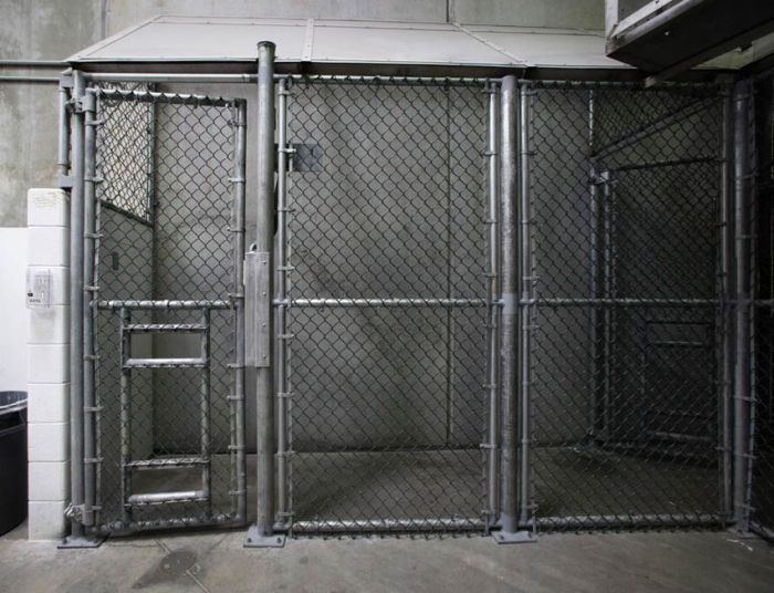 Жизнь в тюрьме Гуантанамо (41 фото)