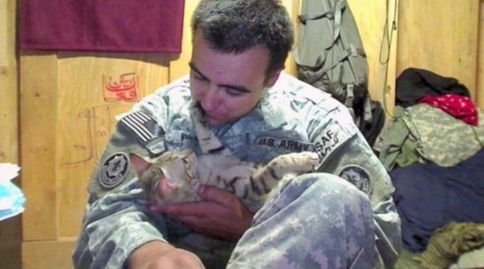 Американский солдат остался в долгу перед котом (6 фото)