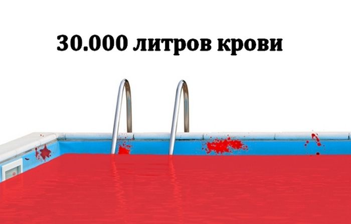 ТОП-10 самых кровавых ужастиков в мире (20 фото)