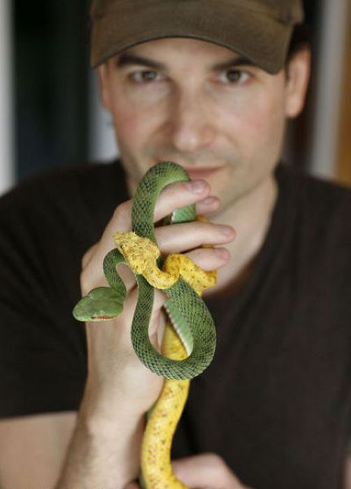 Как сделать свой организм невосприимчивым к ядам змей (22 фото)