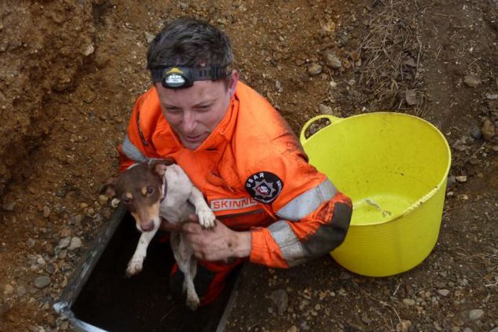 Спасение собаки, застрявшей в трубе глубоко под землей (6 фото)