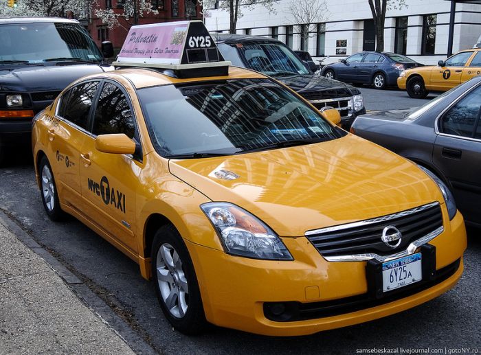 Полиция Нью-Йорка теперь работает под прикрытием в такси (5 фото)