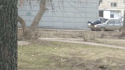 Водитель без прав прокатал полицейского на капоте (1 гифка + видео)