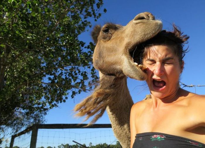 Не все девушки умеют находить общий язык с животными (35 фото)
