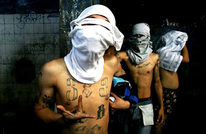 Банды Сальвадора (20 фото)