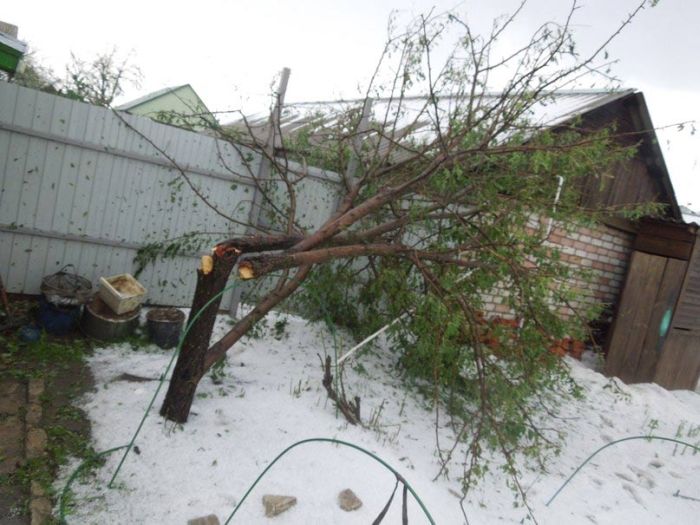 Сильнейший град в Погаре уничтожил посевы и повредил дома (31 фото + видео)
