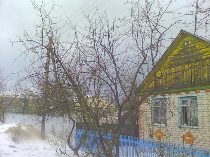 Сильнейший град в Погаре уничтожил посевы и повредил дома (31 фото + видео)