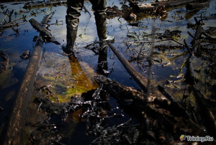 Черные озера - последствия деятельности "Роснефти" (25 фото)