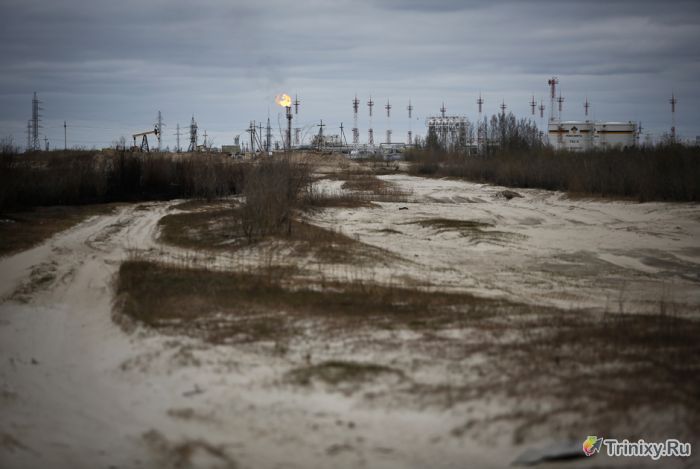 Черные озера - последствия деятельности "Роснефти" (25 фото)