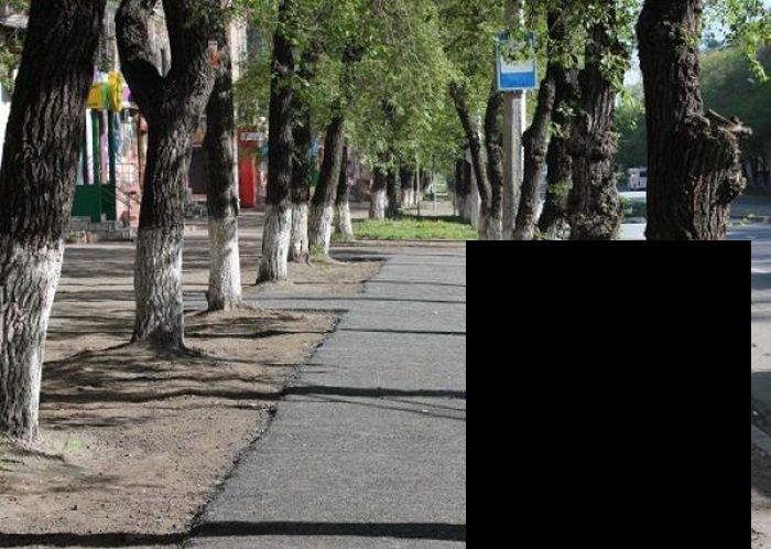 Новый способ коммунальщиков по уходу за деревьями (3 фото)