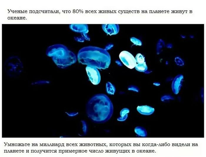 Пугающие тайны подводных глубин (18 фото)