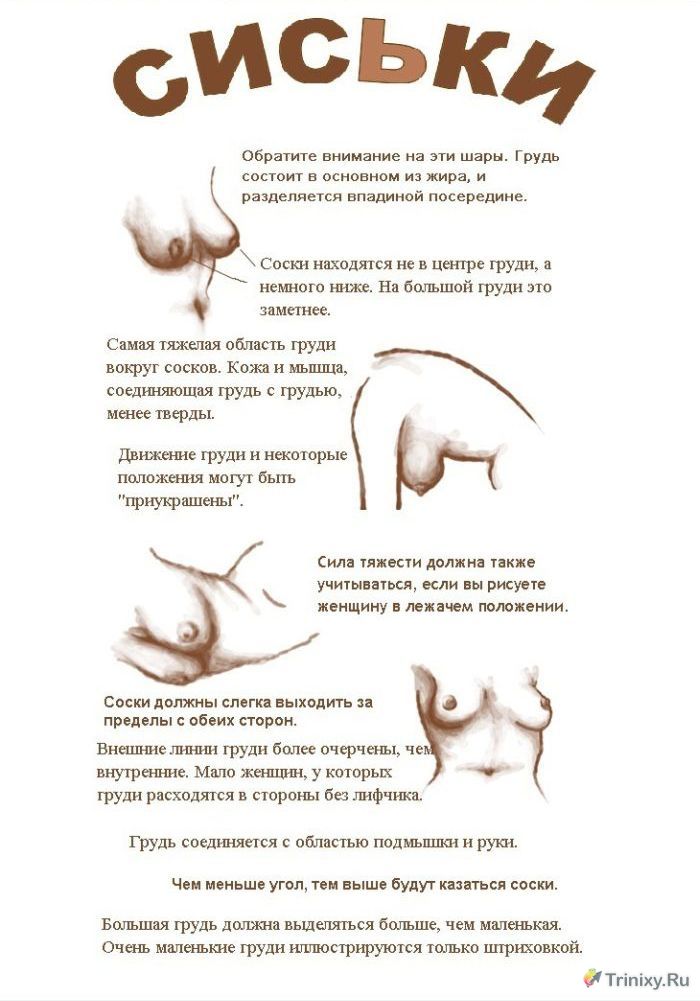 рисование женского голого тела