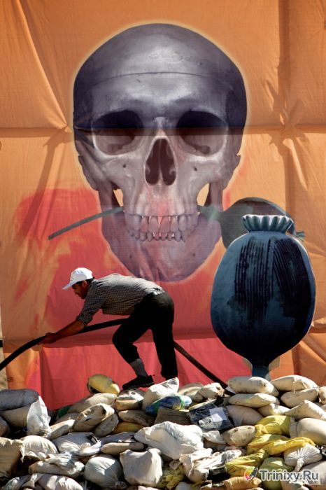 Уничтожение 100 тонн наркотиков в Иране (12 фото)