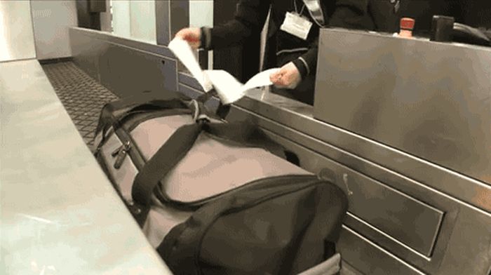 Как работает багажное отделение в крупных аэропортах (7 гифок)