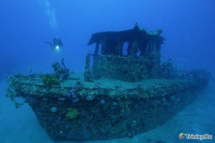 Сокровища затонувших кораблей (10 фото)