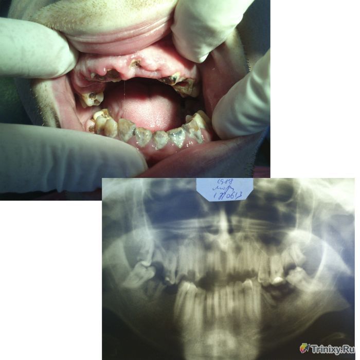 Как работается стоматологам в государственных клиниках (16 фото)