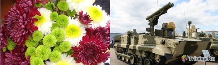 Добрые названия российского боевого оружия (12 фото)