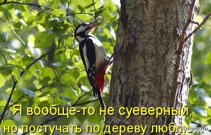 Закономерности и ситуации из жизни (34 фото)