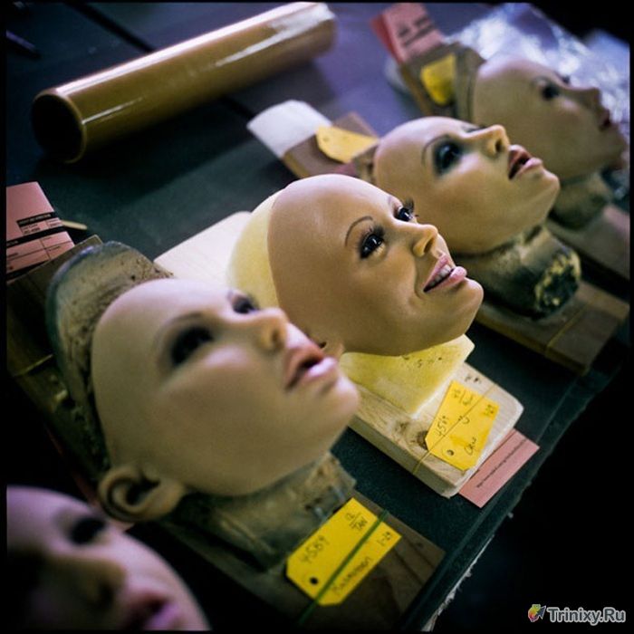 Производство секс-кукол в Калифорнии (11 фото)