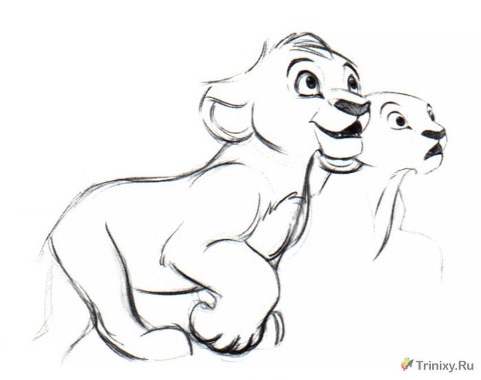 Зарисовки из мультфильма "Король лев" (64 рисунка)