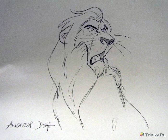 Зарисовки из мультфильма "Король лев" (64 рисунка)