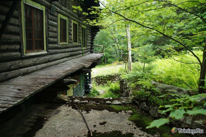 Заброшенный дом в лесу (46 фото)