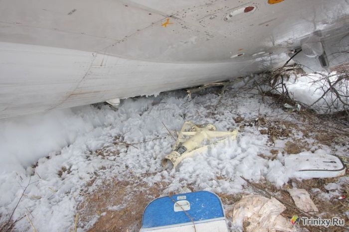Разбитый самолет в аэропорту Домодедово (30 фото)