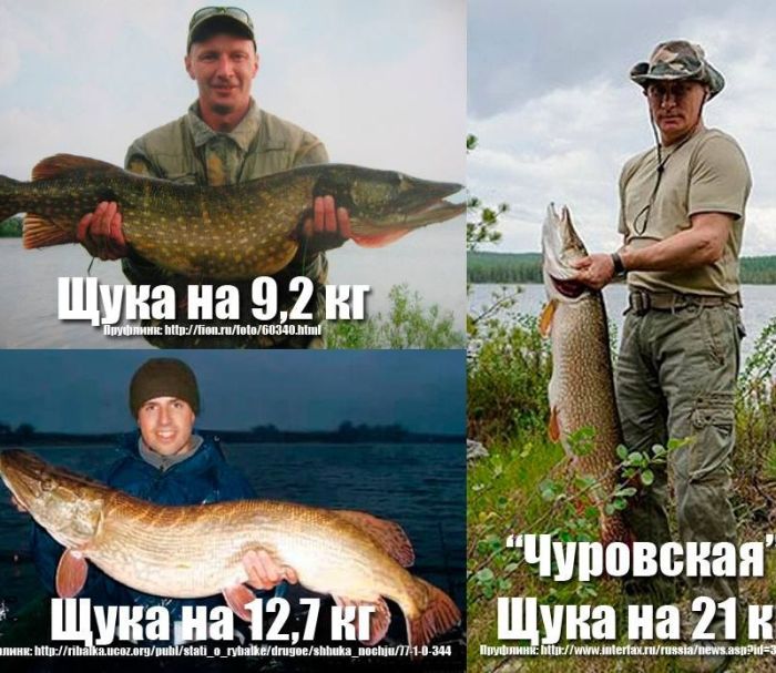 Путин и его "мифическая щука" (17 фото)