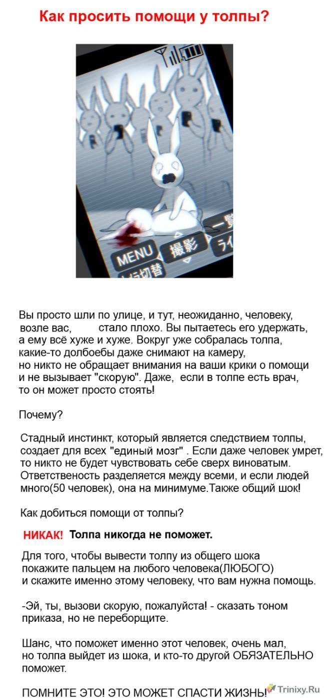 Как просить помощи у толпы (1 картинка)