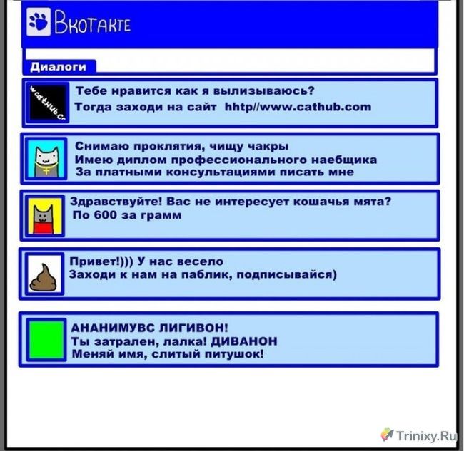 Коты в социальных сетях (8 картинок)