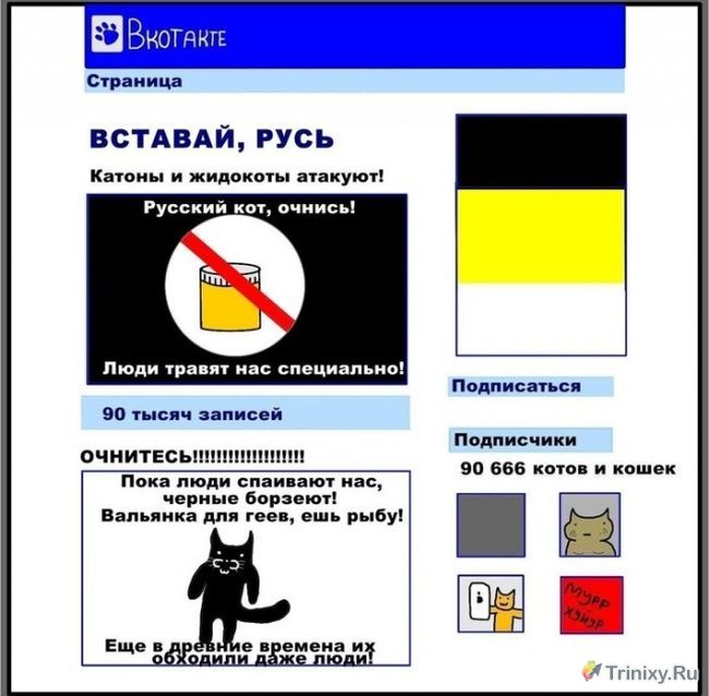Коты в социальных сетях (8 картинок)