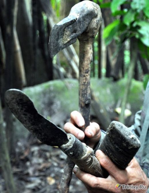В джунглях обнаружили современного "Маугли" и его сына (8 фото + видео)