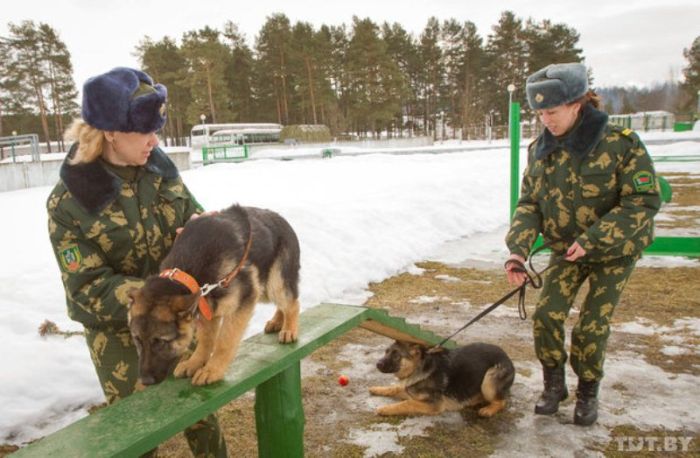 Как становятся защитниками Российской границы (17 фото)
