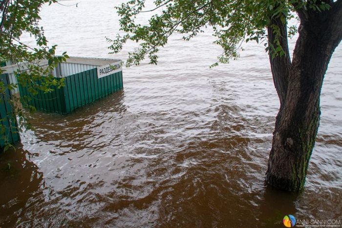 Рекордное наводнение в Хабаровском крае (41 фото + видео)