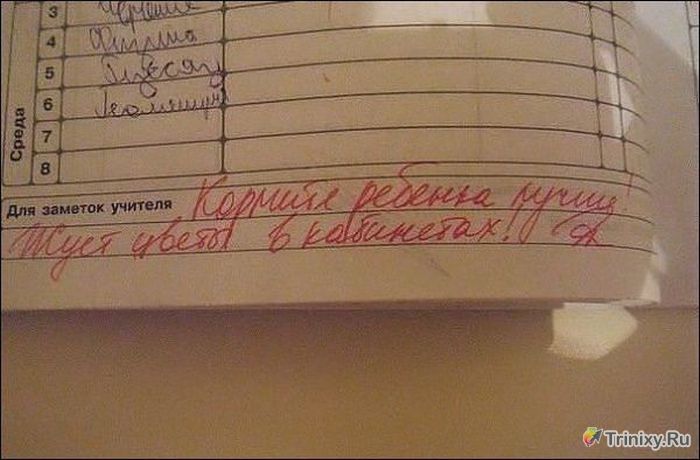 Смешные замечания в школьных дневниках. Часть 2 (31 фото)