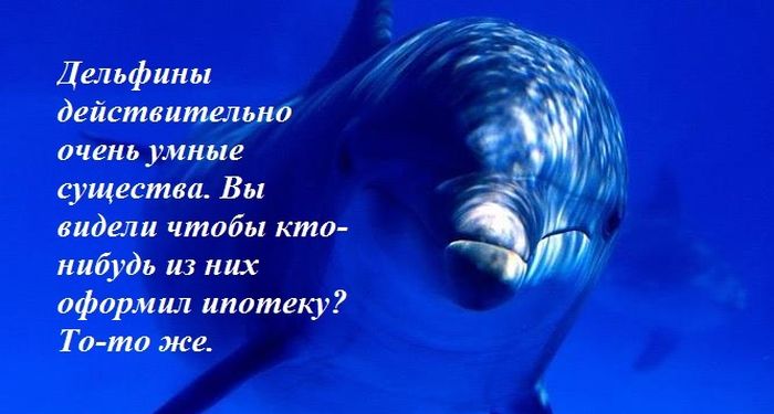 http://cdn.trinixy.ru/pics5/20130902/podborka_130.jpg