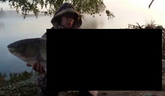 Вытаскиваем 27-килограммового "Монстро" из водоема Вытаскиваем 27-килограммового "Монстро" из водоема
