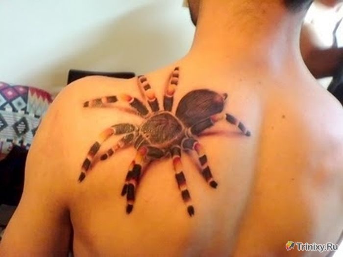 Невероятно реалистичные татуировки (31 фото)